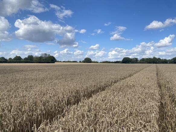 Land, in Land Off Fen Street, £315,000