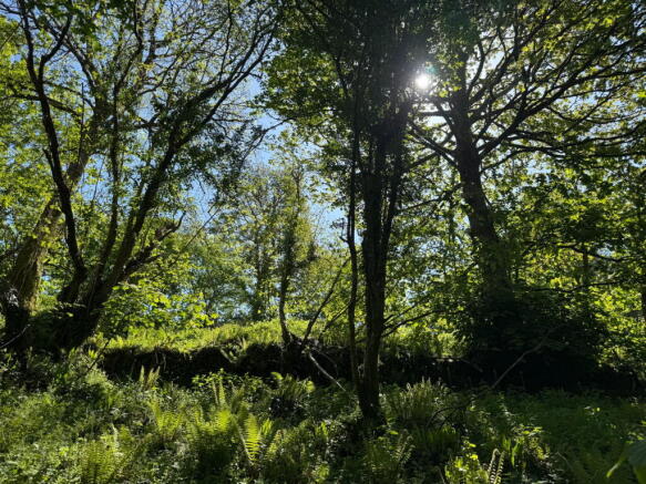 Land, in Milton Combe, £25,000