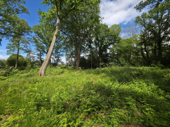 Land, in Land At Guildford Road, £10,000