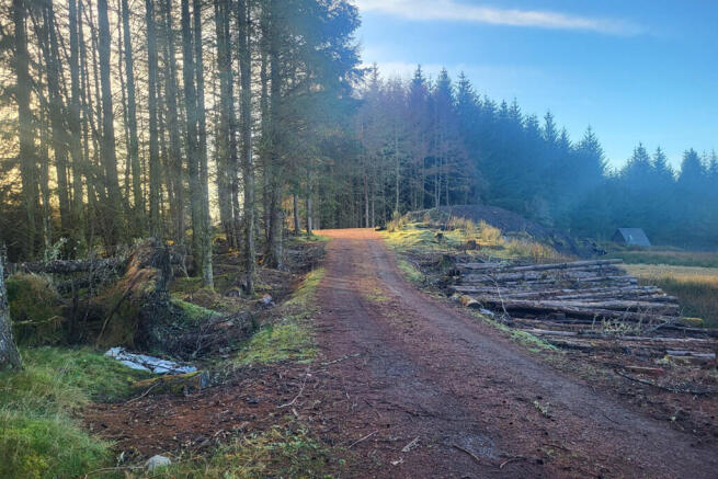 Land, in Rutting Season 10, £5,000