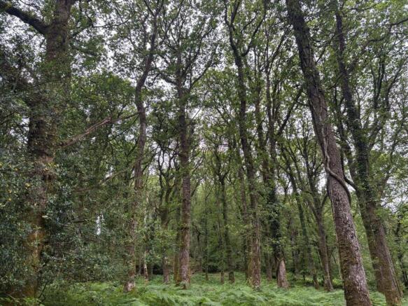 Land, in Oakford, £50,000