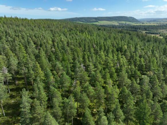 Land, in Craigmill Forest Estate, £5,750,000