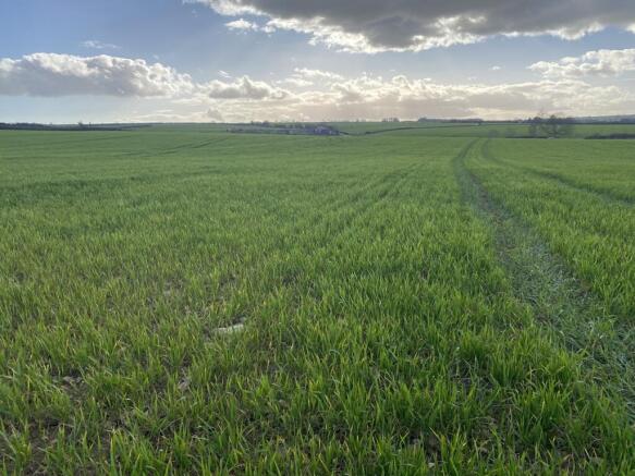 Land, in Lot 2 - Arable Land Off Leafield Road & Charlbury Road, £310,000
