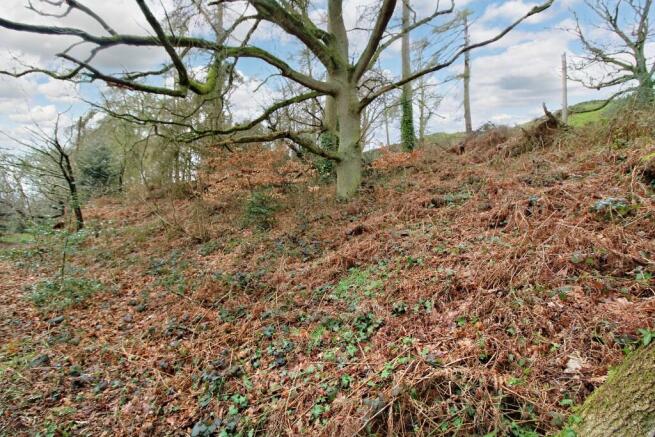 Land, in The Coppice, £28,000