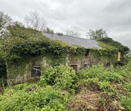 Land, in Ceulan Mill, £50,000