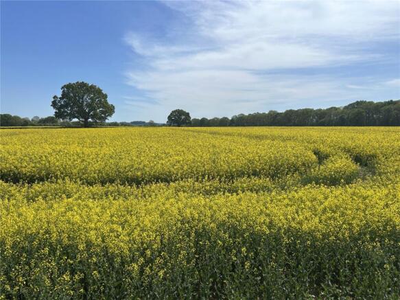 Land, in Ilminster, £365,000