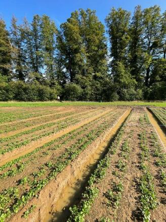 Land, in Huntercombe Lane South, £15,000