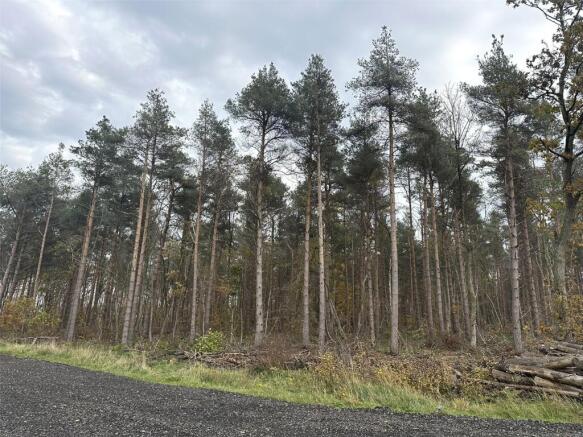 Land, in Holiday Lodge Development Site, £395,000