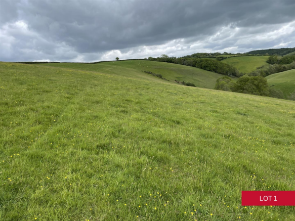 Land, in Dunsford, £460,000