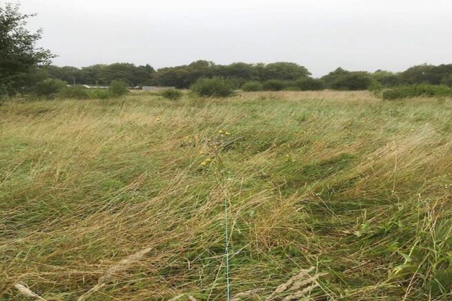 Land, in Plot 29B, £8,000