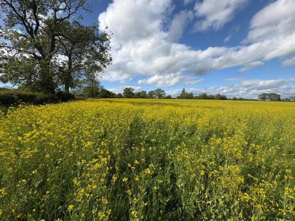 Land, in Land at Copmere End - Lot Two, £130,000