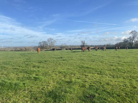Land, in Lot 1 - Pastureland Off The Ridgeway, £200,000