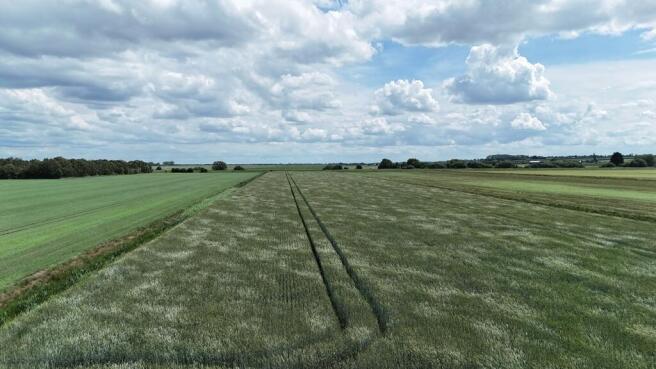 Land, in Lot 3 - 48.29 Hectares (119.33 Acres), £895,000