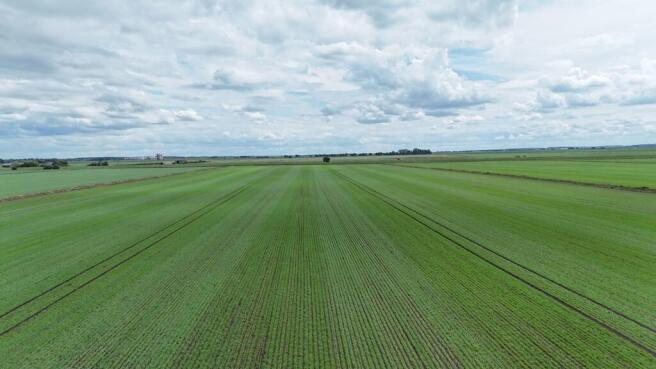 Land, in Lot 2 - 50.35 Hectares (124.44 Acres), £930,000