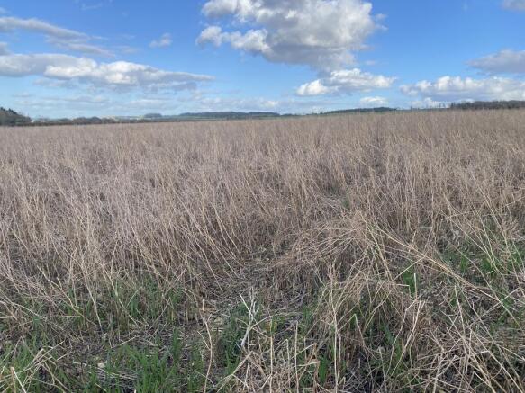 Land, in Lot 3 - Arable Land Off Charlbury Road, £330,000
