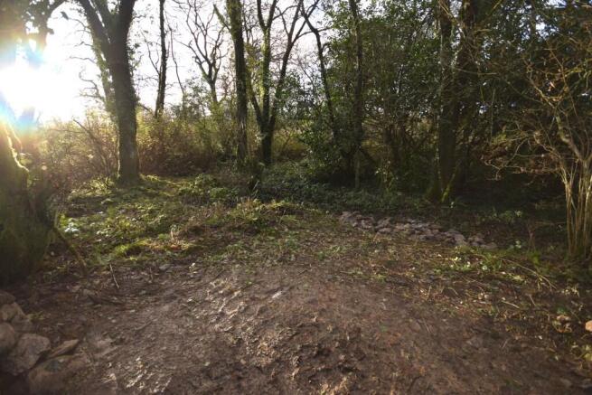 Land, in Plwmp, £25,000