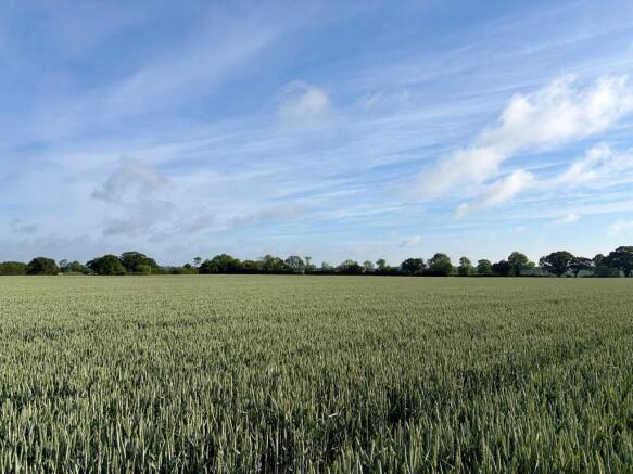 Land, in Land At Wissett, £1,315,000
