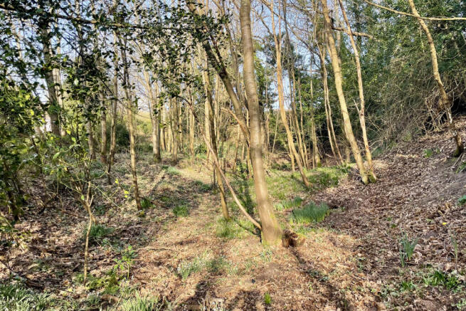 Land, in Woodland Plot Adjacent to Newlands, £20,000
