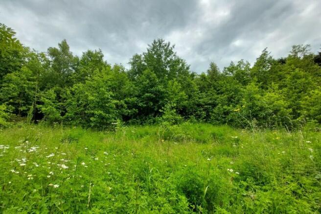 Land, in Woodland at Jacksdale, £150,000