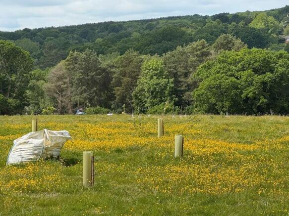 Land, in Plot Of Land Near Downingbury Farm House, £8,000