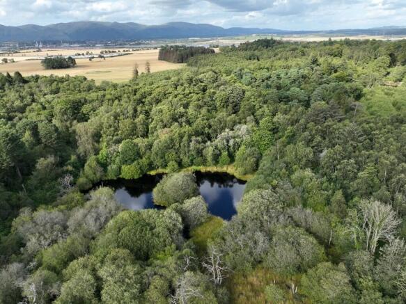 Land, in Dunmore Wood, £700,000