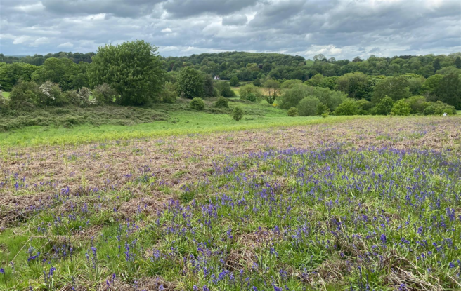 Land, in Lot 1 Land off Salt Road, £75,000