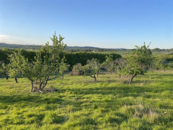 Land, in The Squires, £100,000