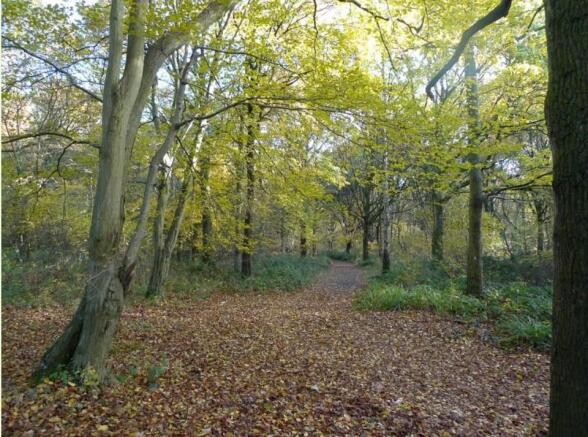 Land, in Glovers Wood, £5,000