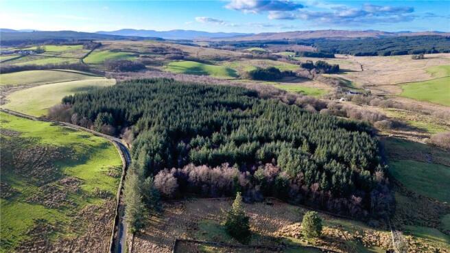 Land, in Langtoo Plantation, £130,000