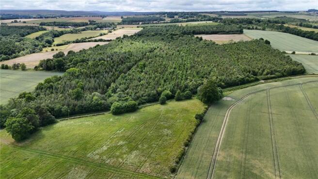 Land, in Shotley Estate Woodlands, £3,530,000