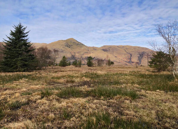Land, in Plot 1, £95,000