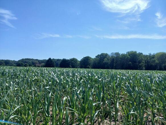 Land, in Land At Old Costessey, £130,000