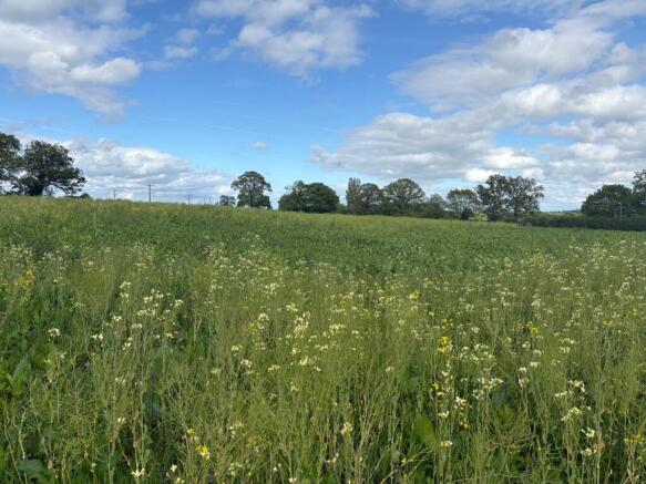 Land, in Land at Copmere End - Lot Three, £90,000