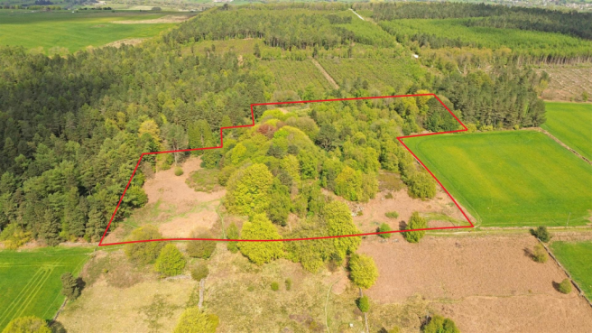 Land, in Former Quarry and Woodland Off Cuckoostone Lane, £60,000