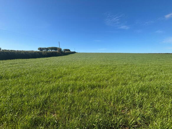 Land, in East Allington, £45,000