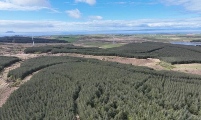 Land, in Craigdow Forest, £2,300,000