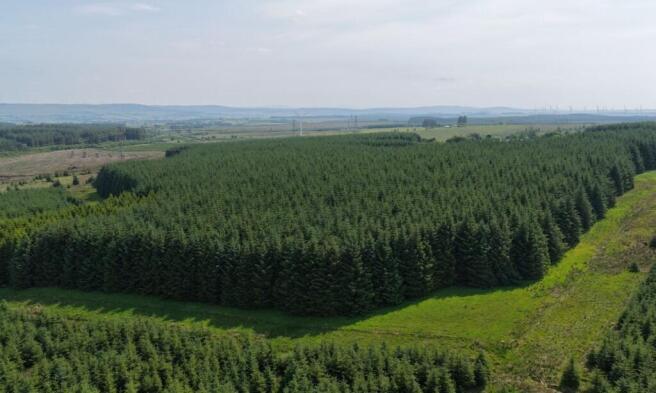 Land, in Ardochrig Wood, £450,000