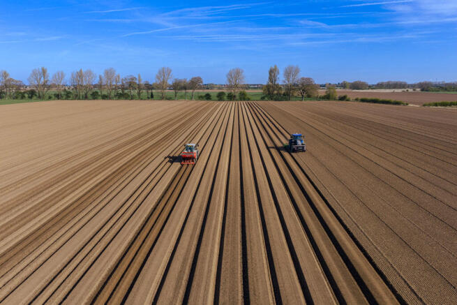 Land, in Old River Farm, £6,300,000