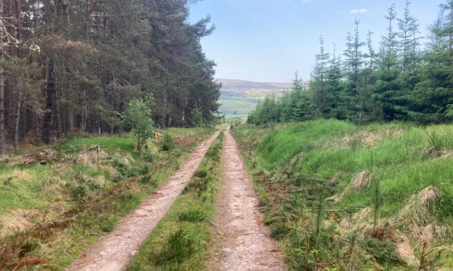 Land, in Glenkirk Wood, £700,000