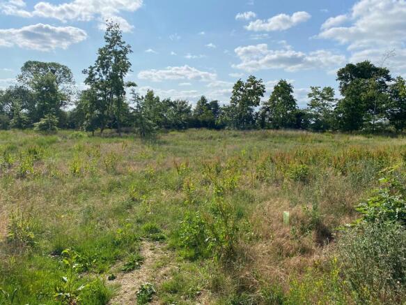 Land, in Lot 3- Paddock Land Off Ladburn Lane, £150,000