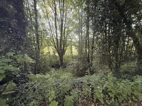 Land, in Lot B Land off Salt Road Salt, £10,000