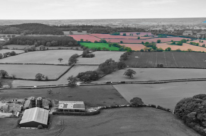 Land, in Oak Farm, £1,475,000